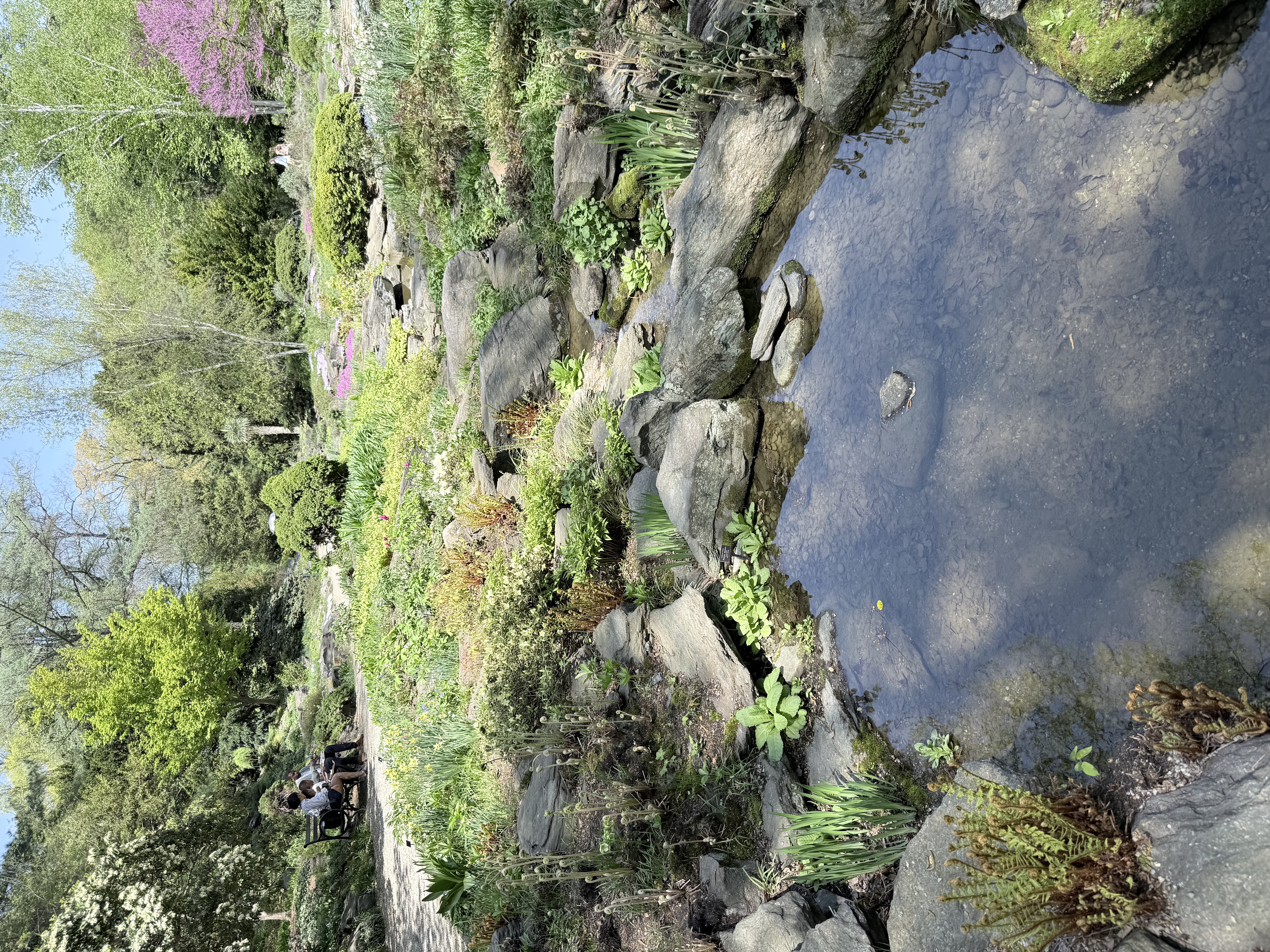 IMG_5949.jpeg
