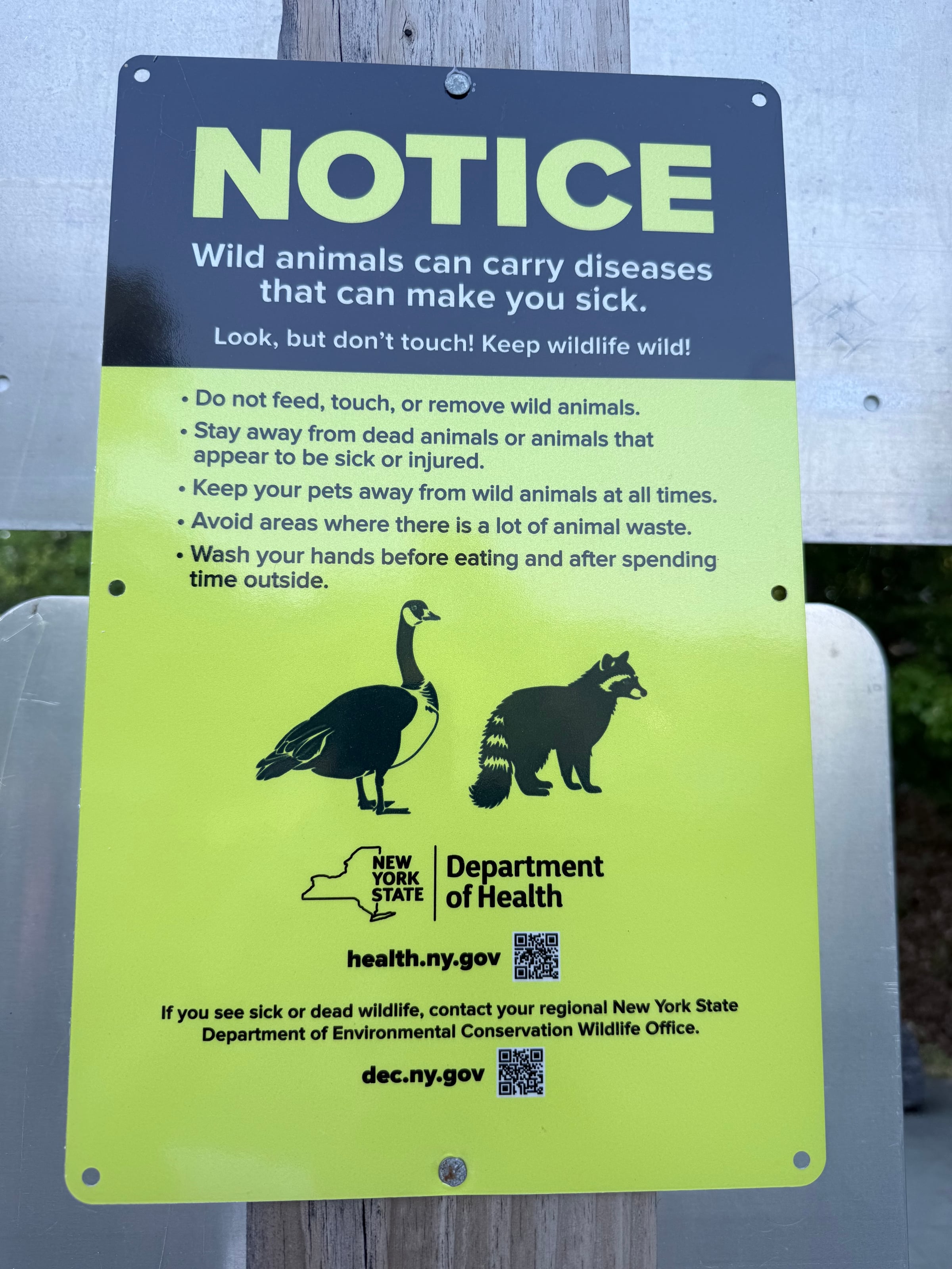 Dirty, stinking animals