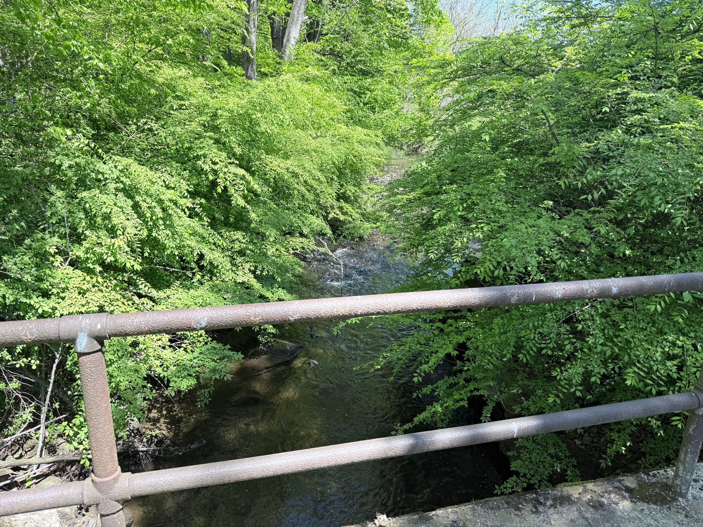 IMG_6024.jpeg
