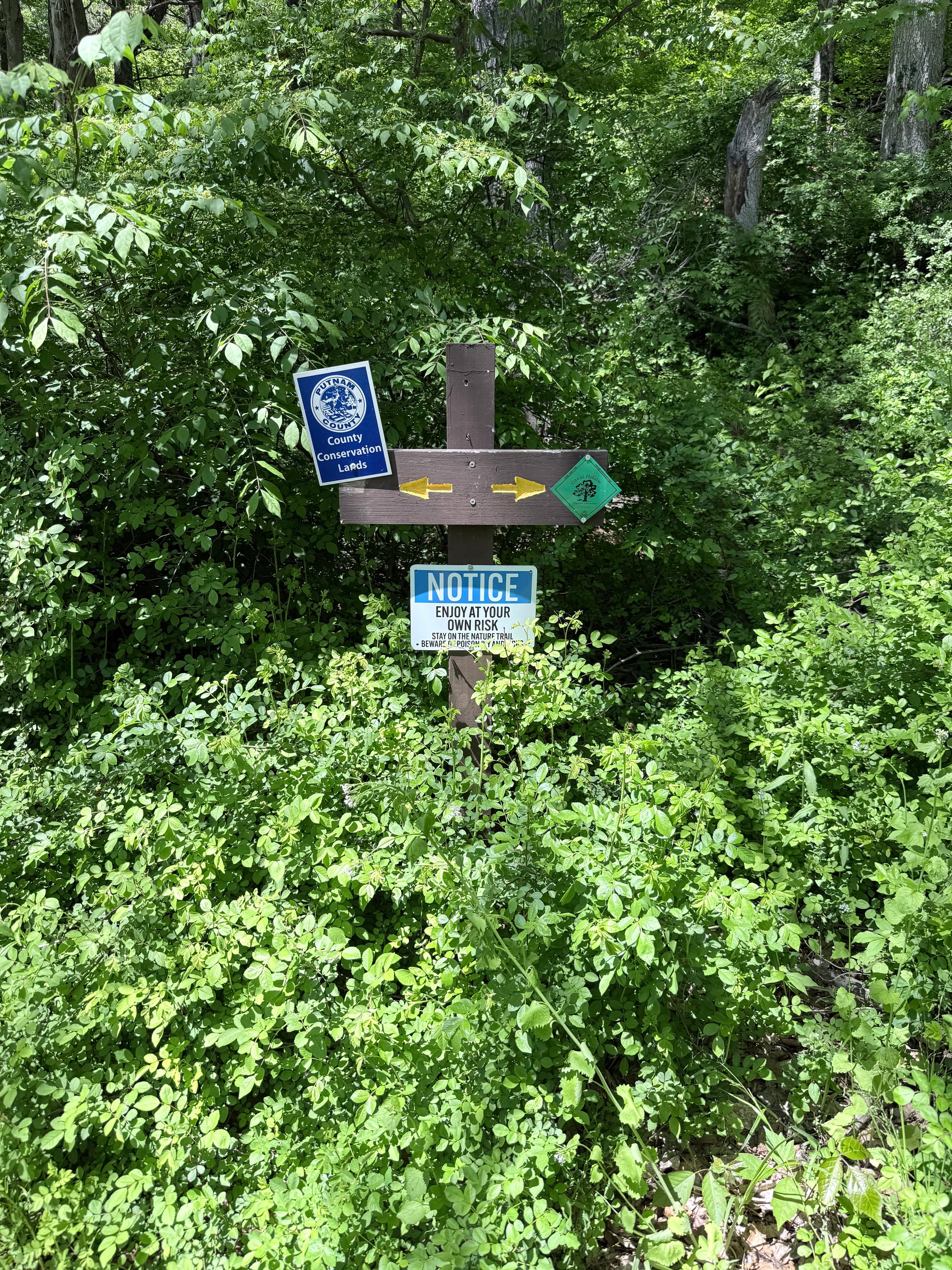IMG_6027.jpeg