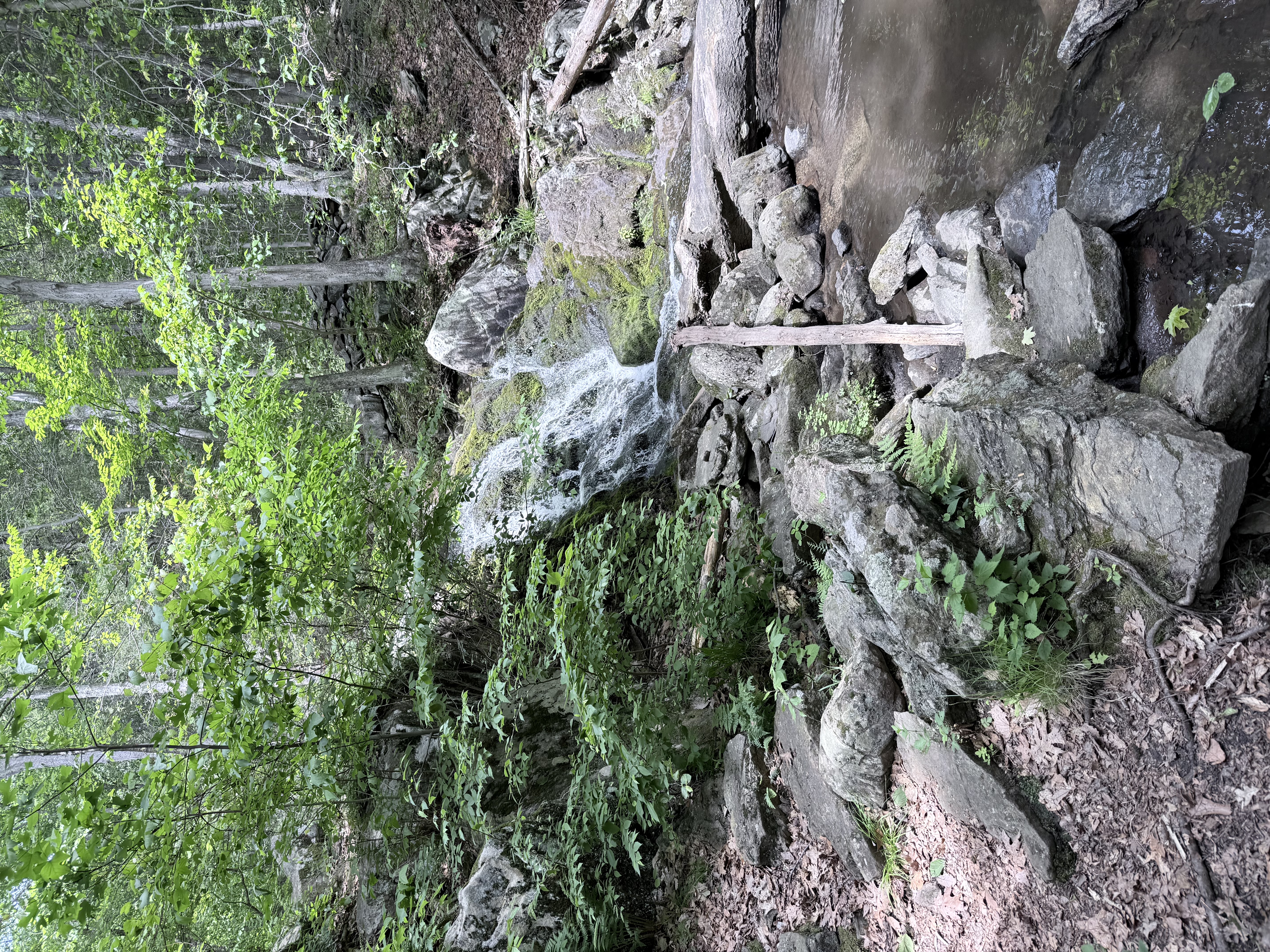 Great Hollow Hike