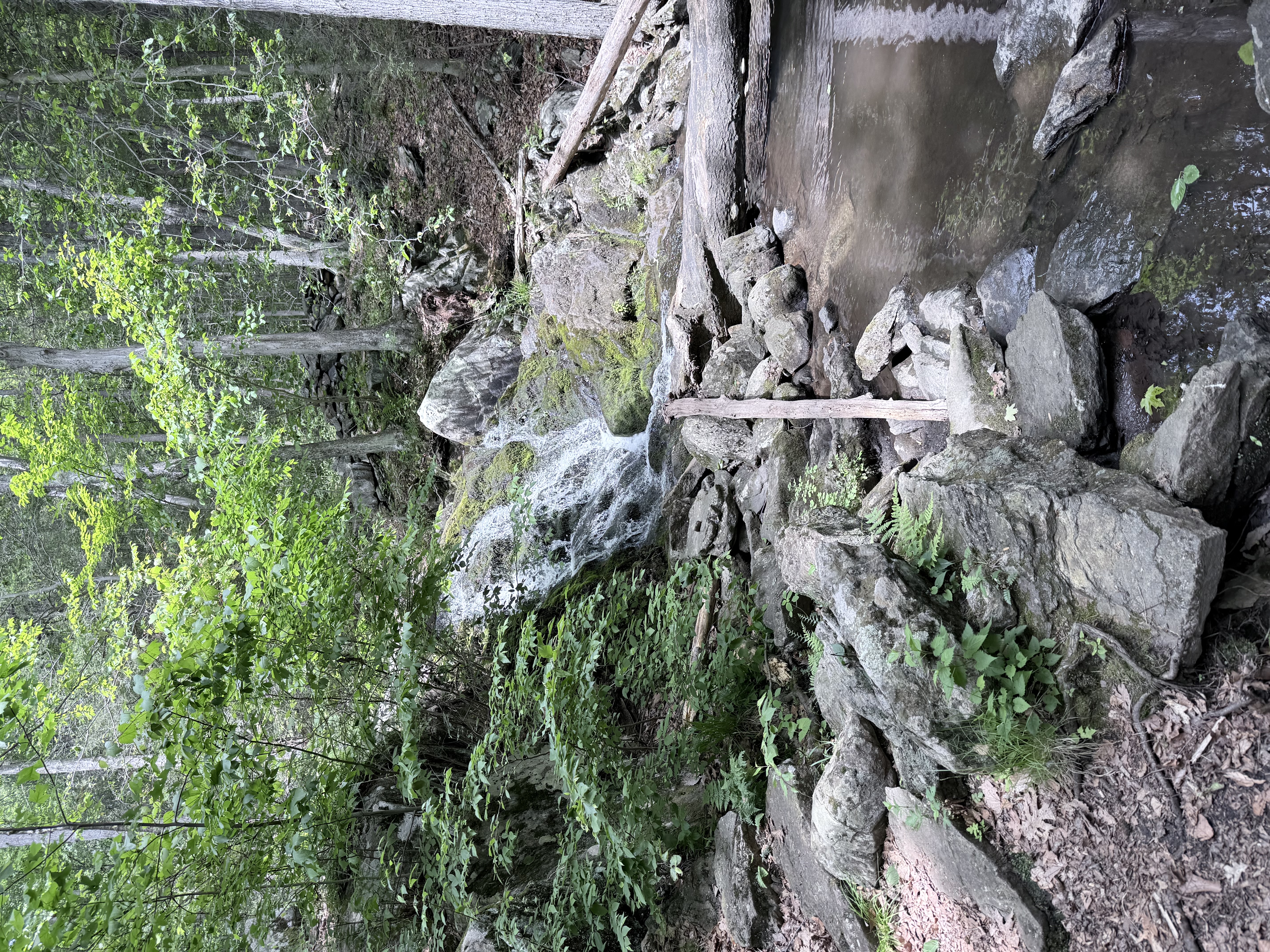 Great Hollow Hike
