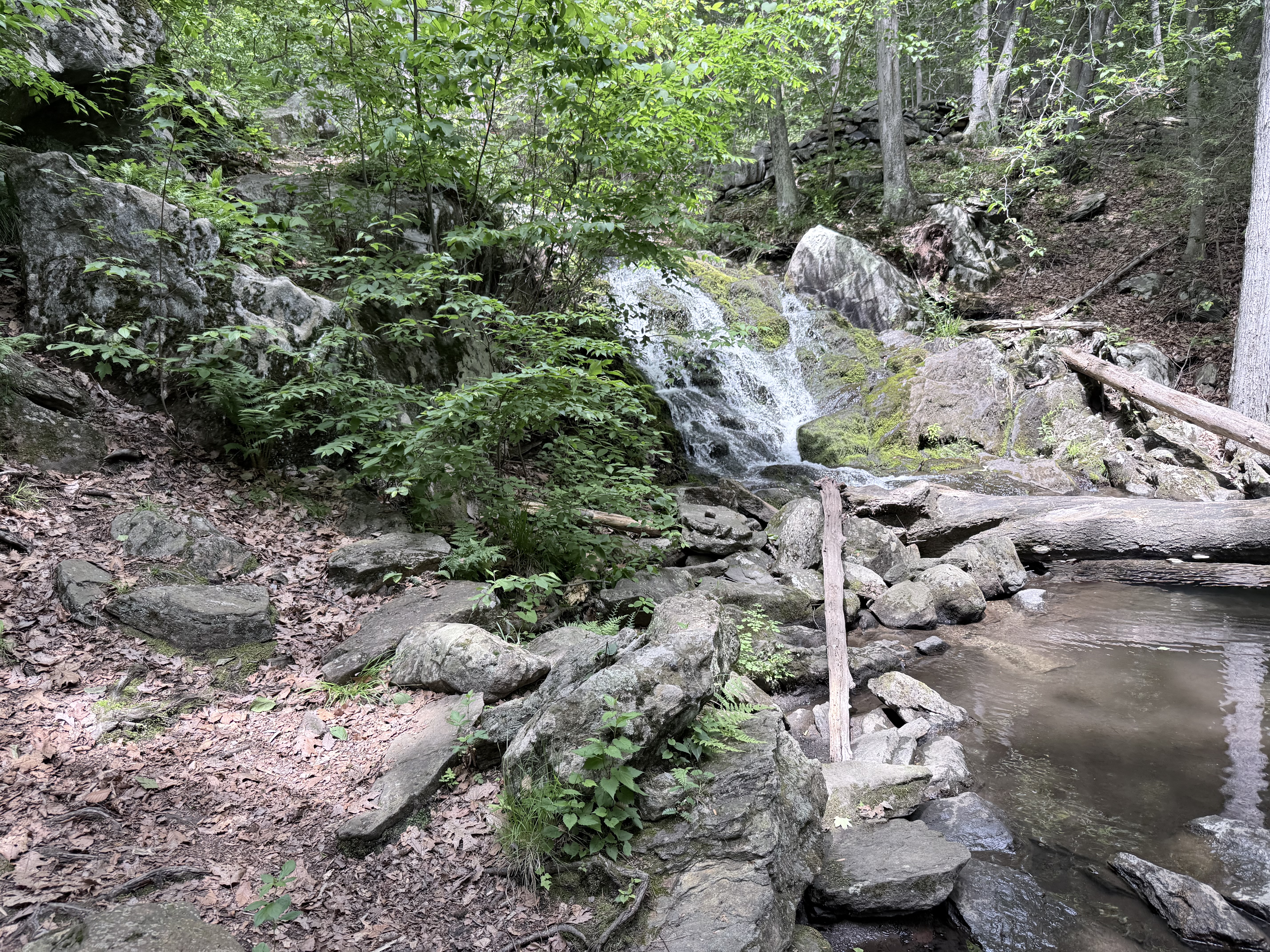 Great Hollow Hike
