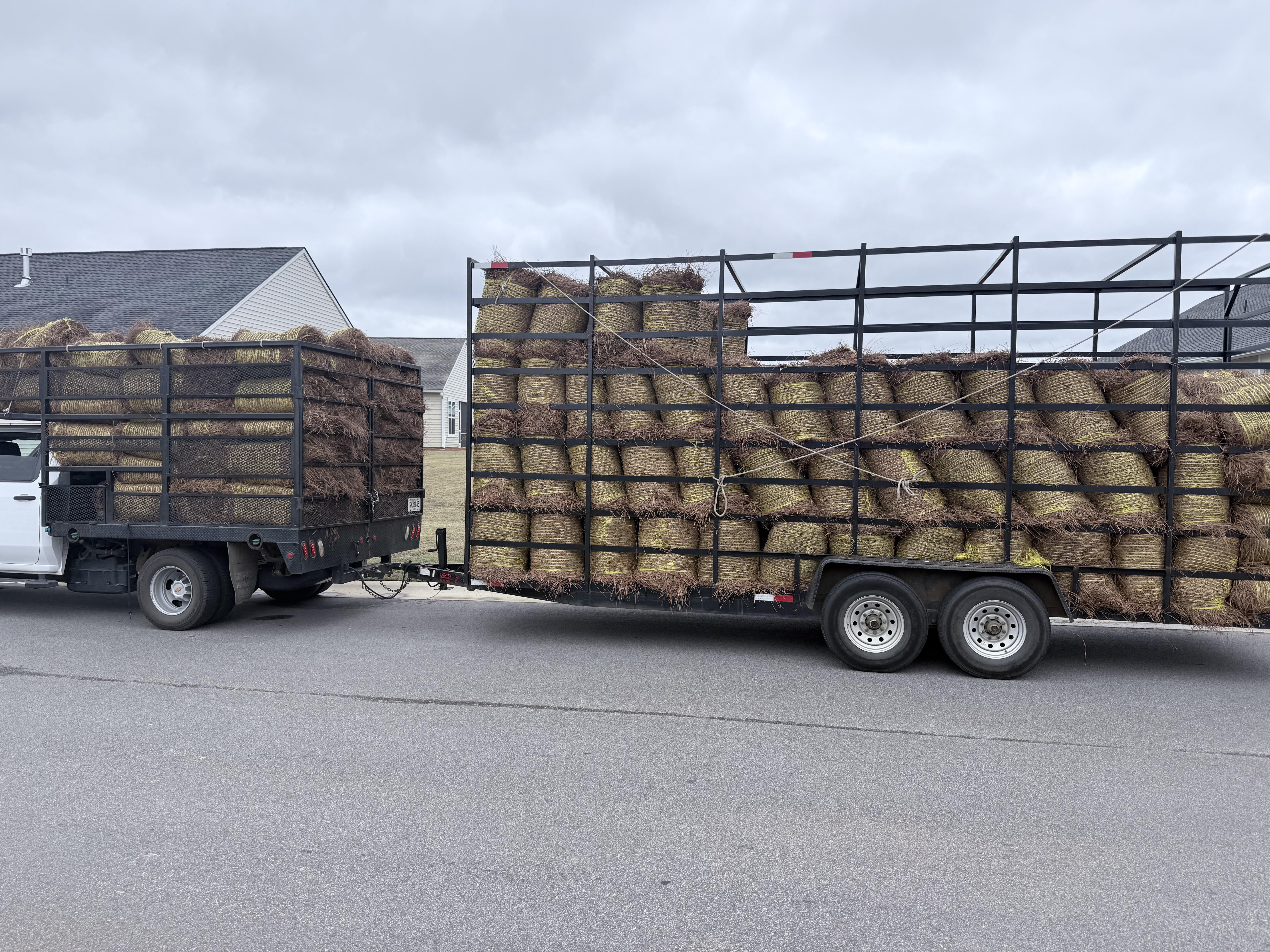 Pine Straw Mulch