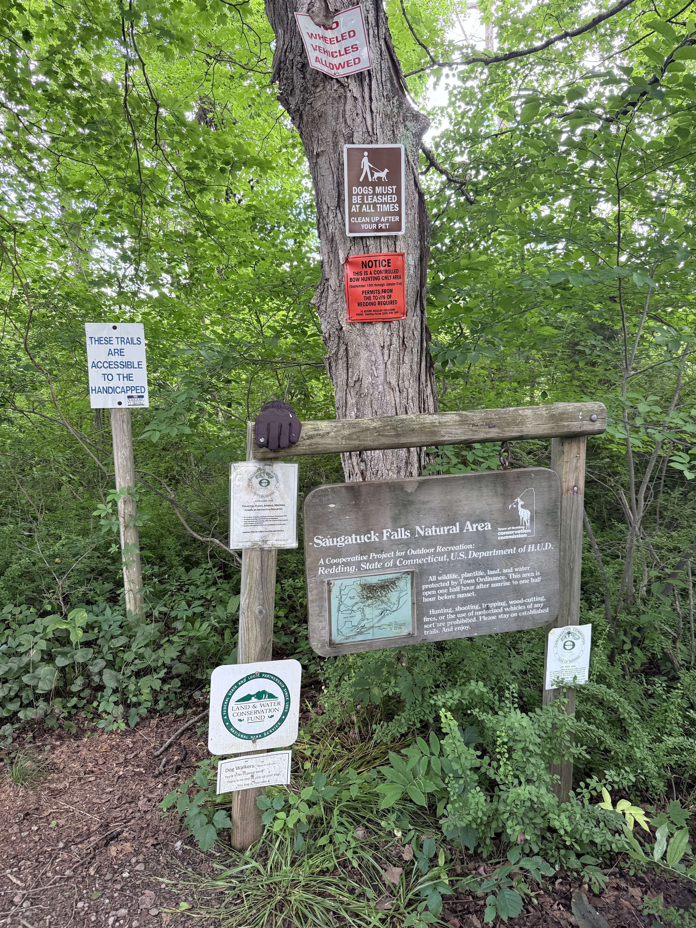 Saugatuck Natural Area 